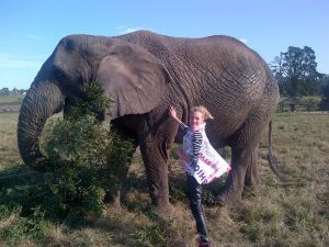 elephant kids 1