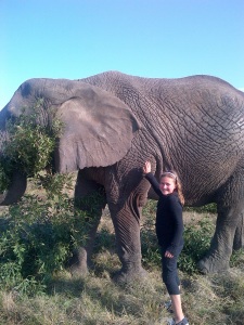 elephant kids 3
